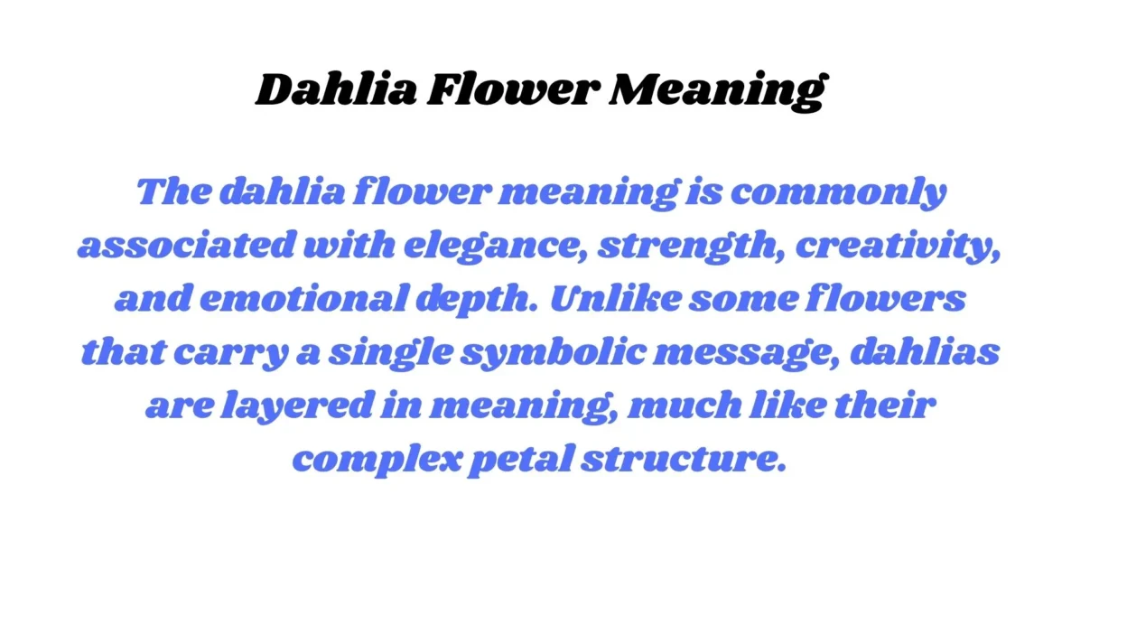 Dahlia Flower Meaning