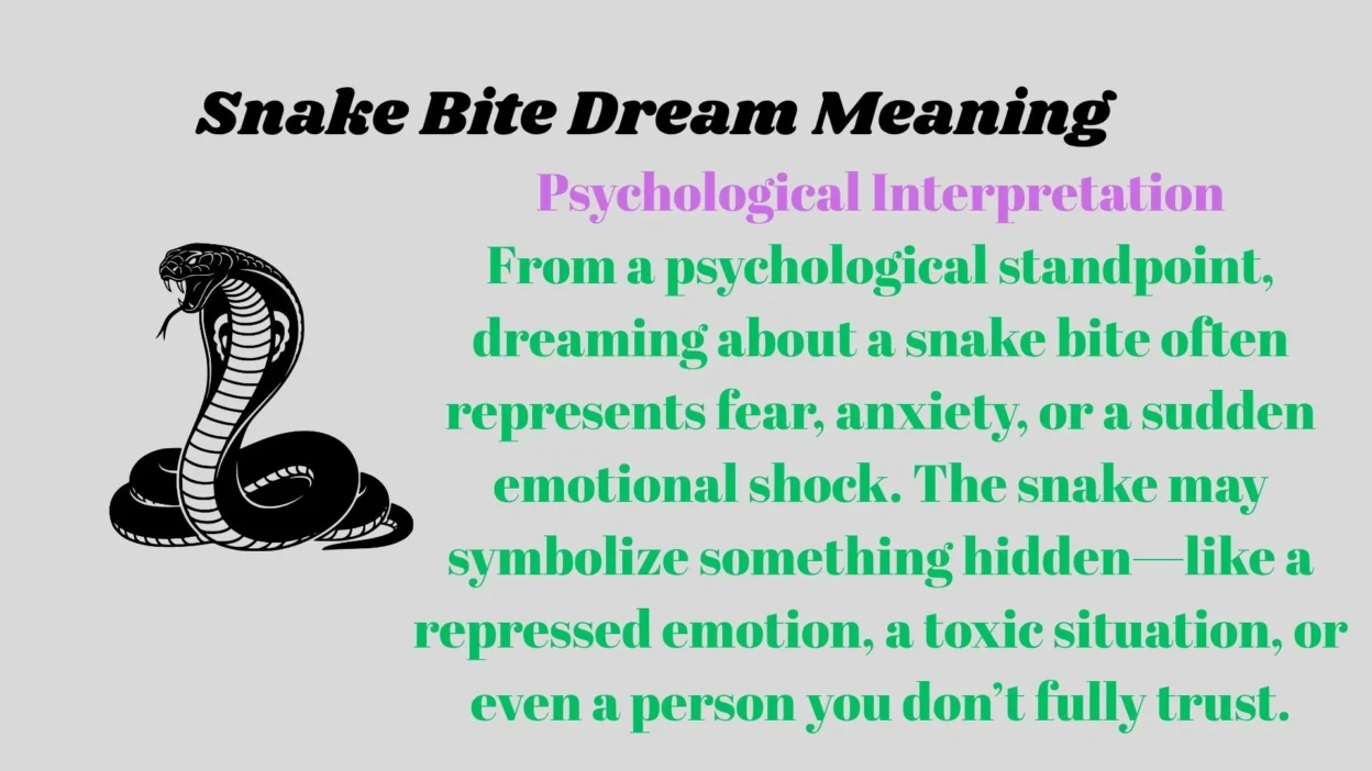 Snake Bite Dream Meaning