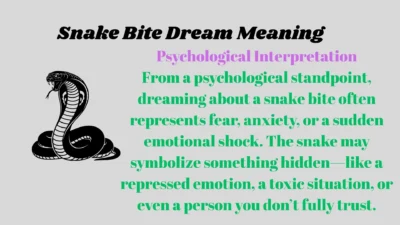 Snake Bite Dream Meaning