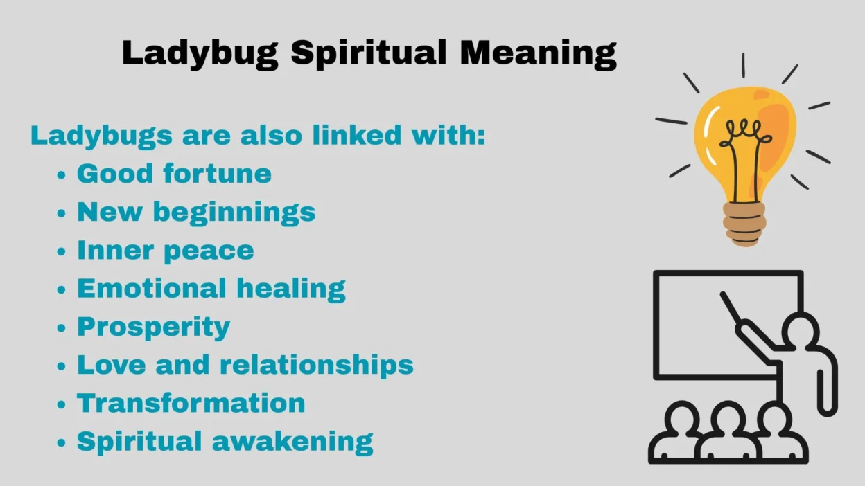 Ladybug Spiritual Meaning