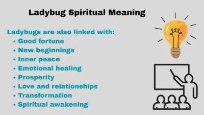 Ladybug Spiritual Meaning