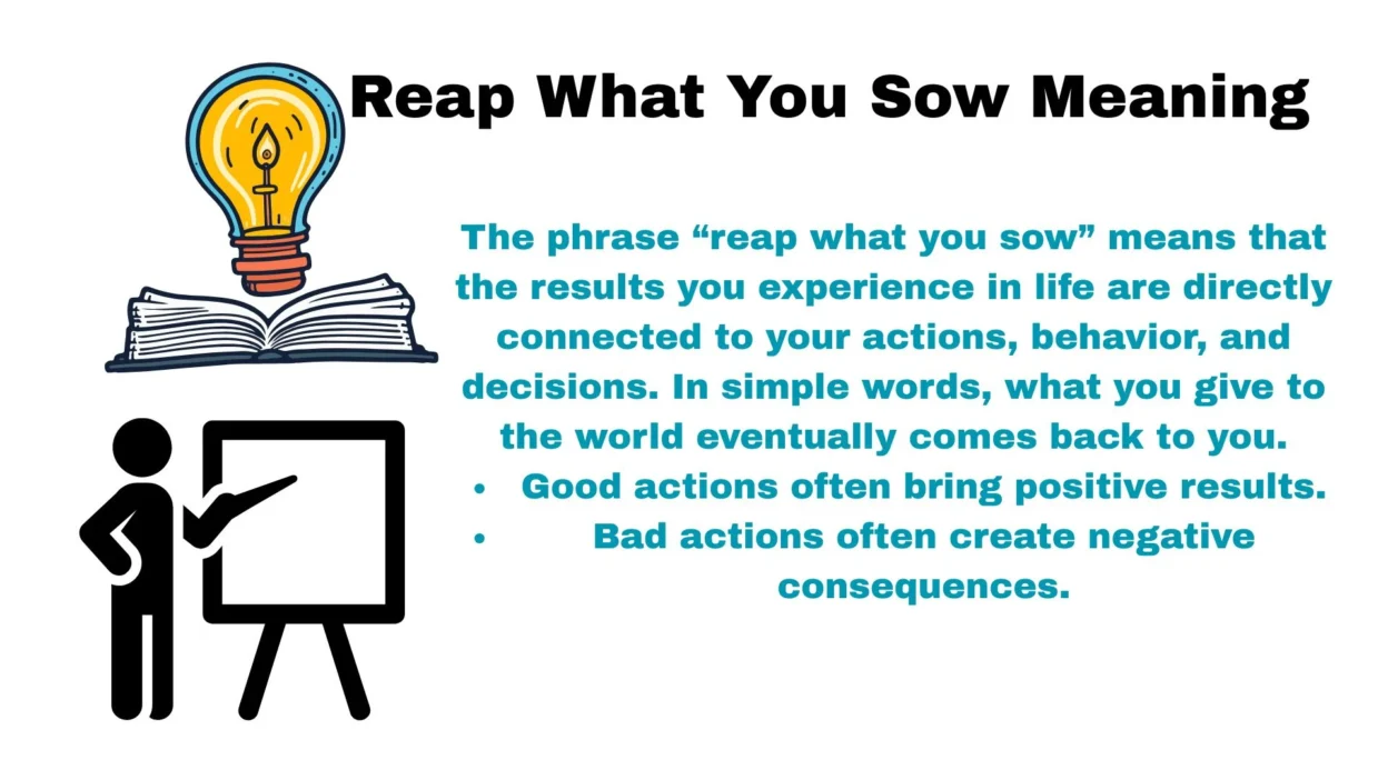 Reap What You Sow Meaning