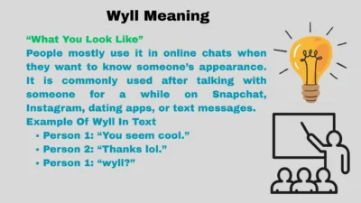 Wyll Meaning
